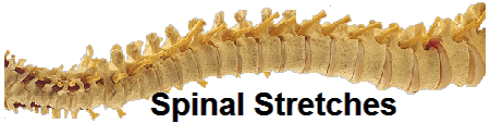 Spinal Stretches