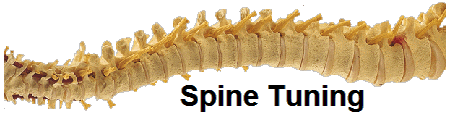 Spine Tuning