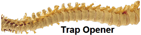 Trap Opener