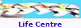 Life Centre