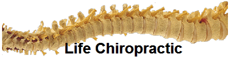        Life Chiropractic 
